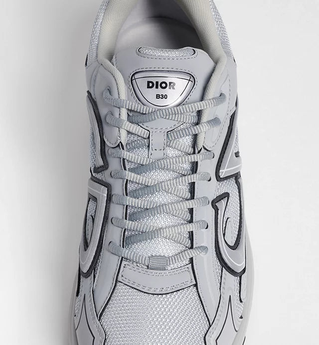 Dior B30 Gray