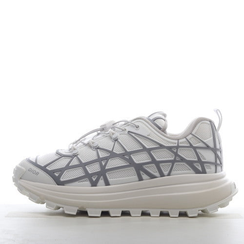 Dior B31 Runner White Grey