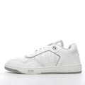 Dior B27 Low White Gray