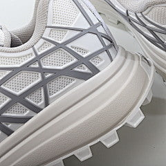 Dior B31 Runner White Grey